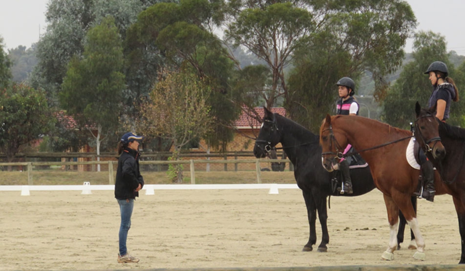 Equestrian NSW Training/Assessment Camps | Equestrian New South Wales